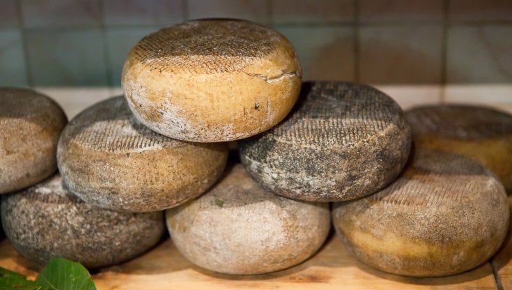 L'Utopia del gusto: Pienza e il Pecorino