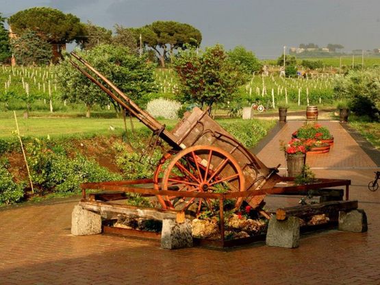 A Frascati arriva Biowine<br />la rassegna del vino biologico<br /><br />&nbsp;