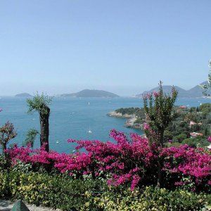 Toti: ‘La mia Palmaria sarà un'isola resort che darà tanto lavoro'