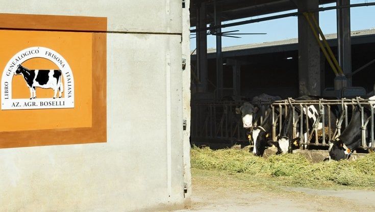 Innovazione, Intesa premia una piccola azienda agricola di Parma