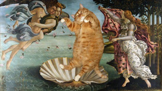 C'è un gatto nel capolavoro: l'arte fa miao