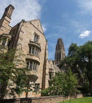 Atenei e non profit re di denari. Da Harvard e Yale a Bill Gates: miliardi e potere negli Usa