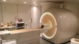Poco invasiva ed efficace: la radiologia interventistica a fianco degli anziani
