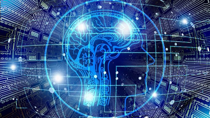 Domenica Bueti: "Il mio viaggio nel cervello alla ricerca del tempo"