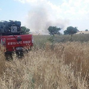 Incendio nel parco dell'Alta Murgia: distrutti 40 ettari di grano, lambita masseria abitata