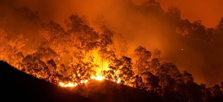 L'algoritmo pompiere: combattere gli incendi con un software