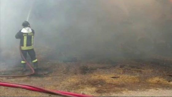 Vasto incendio in fabbrica conserviera nel Salernitano