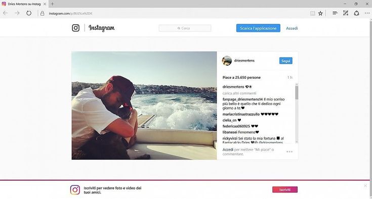 Mertens pubblica foto su instagram con l'inseparabile cagnolina Juliette