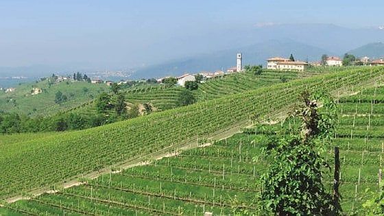 La Bottiglia: gentili e cremose bollicine di collina