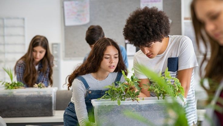 Le preoccupazioni di Millennial e GenZ: ambiente, disoccupazione e salute 