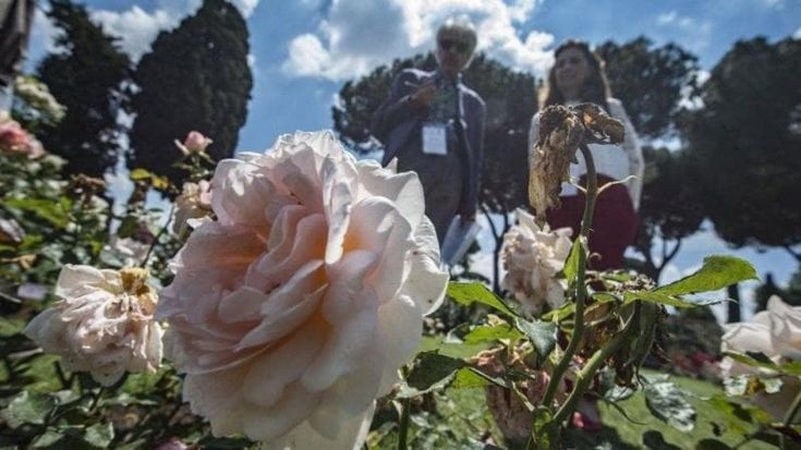 Il Roseto comunale riapre dal 7 ottobre per la fioritura autunnale