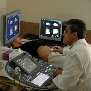 "Una barriera vascolare impedisce ai batteri intestinali di migrare nel corpo"