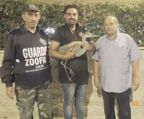 Ischia: l’airone è in difficoltà, i cacciatori lo salvano