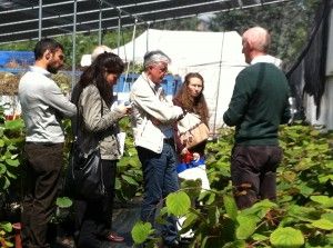 Oli essenziali, propoli e pezzi di computer<br />"Cos&igrave; curiamo l'insalata che mangiamo ogni giorno"