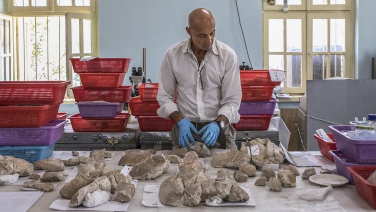 L'italiano che rimette insieme i cocci dei Buddha di Kabul