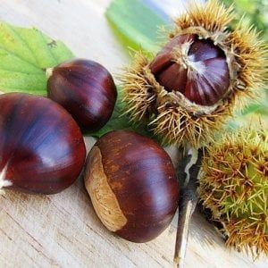 Sagre, le feste della castagna animano la provincia di Rieti