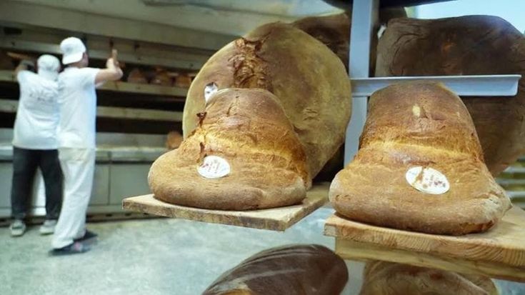 Pane, olio e formaggio a tavola con l’eccellenza