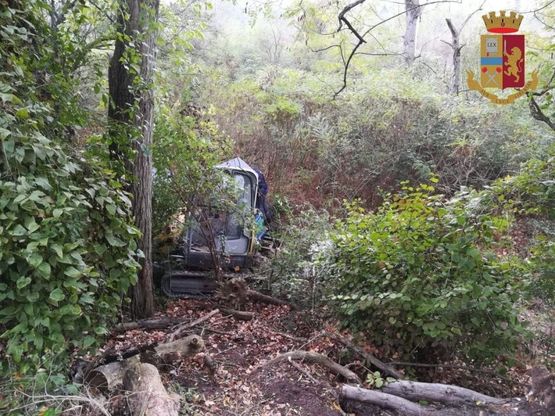 Parma, nel boschetto spuntano tre escavatori rubati -  Foto 