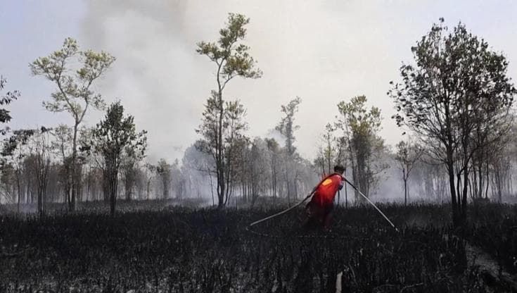 Indonesia, sedicenne combatte gli incendi vestito da Superman: "Meglio che giocare col cellulare"