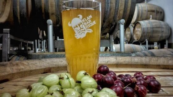 Inclusio Ultima: dal Trentino la birra che prende in prestito il Metodo Classico