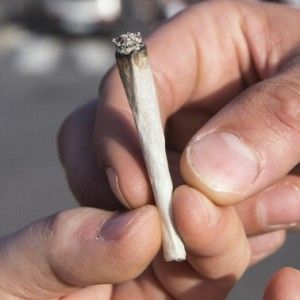 Piante di cannabis in casa: 45enne denunciato