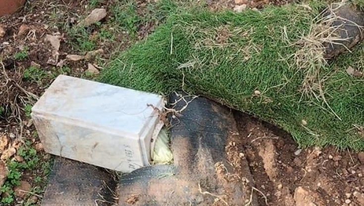 Tomba devastata dai cinghiali, il figlio di una defunta costretto a ripararla da solo