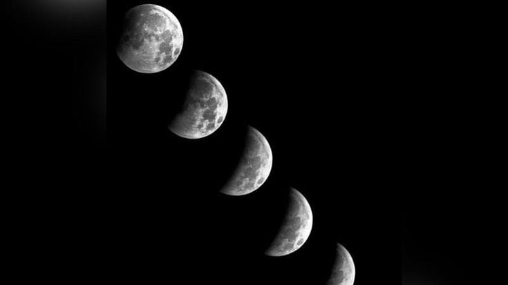 La Luna scompare nel cielo della Murgia: lo spettacolo dell'eclissi fotografato da Altamura