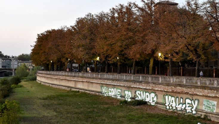 Parma, il murale lancia lo sciopero per il clima - foto 
