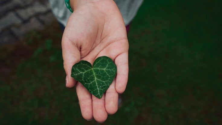 Italiani e sostenibilità: due su tre ritengono di adottare comportamenti rispettosi dell’ambiente