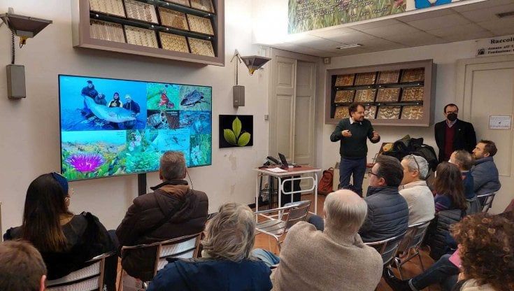 Sos Biodiversità: a Parma il progetto di mappatura delle specie invasive con l’aiuto dei cittadini&nbsp;