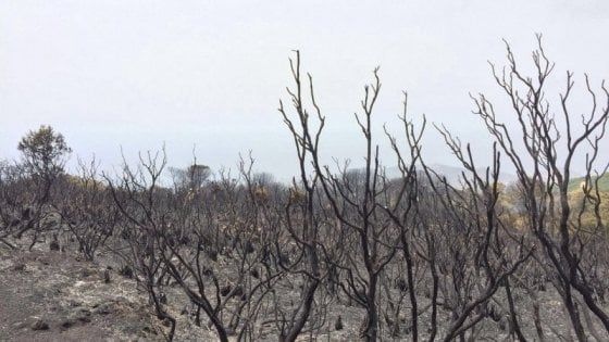 Il governo: "Via libera al parco nazionale di Pantelleria"
