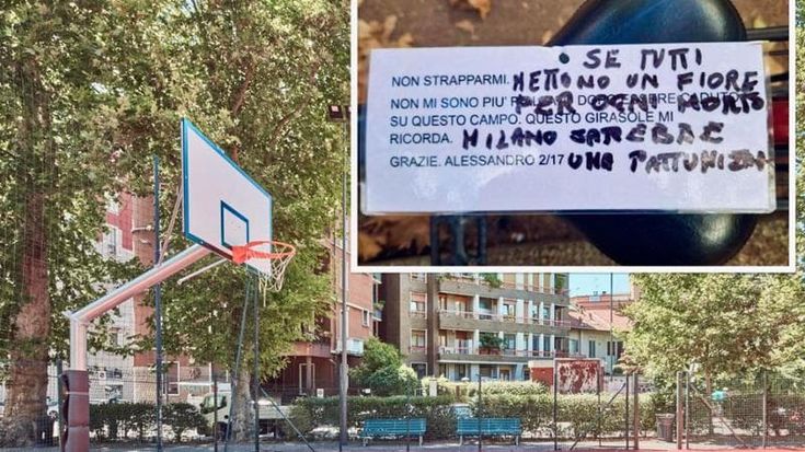 "Portate un girasole per Alessandro”: l’appello a Milano per rispondere a un gesto vergognoso