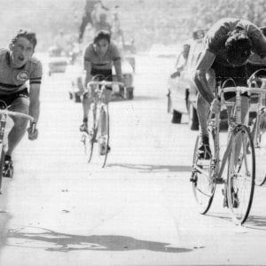 Il Fiandre di Maertens: "Sagan e Van Avermaet ricordano il mio 1977"