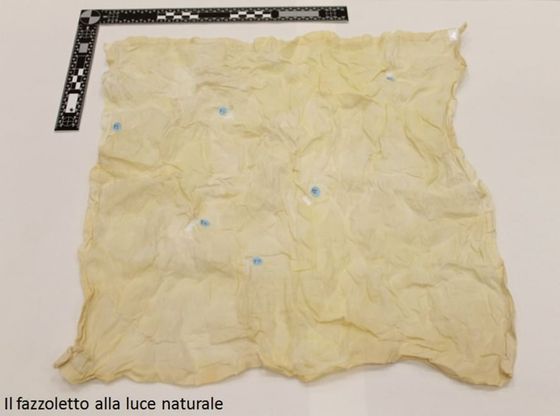 D'Annunzio, un fazzoletto di cent'anni fa svela il suo dna