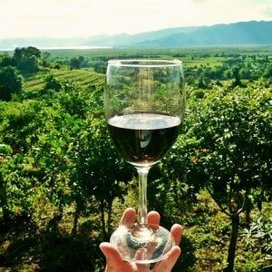 In viaggio per cibo e vino: il turismo enogastronomico conquista gli italiani