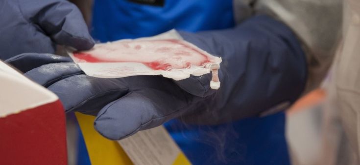 Le CAR-T che verranno. La ricerca non si ferma