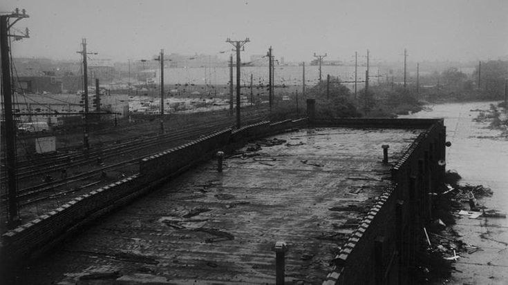 Omaggio della Cineteca al mondo di David Lynch: “Uno sguardo unico”