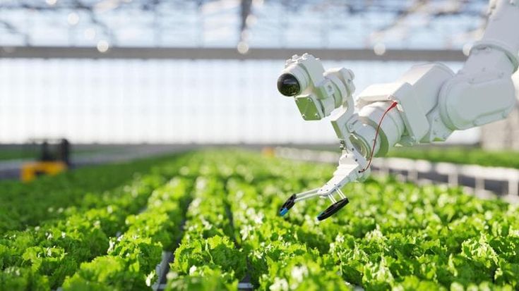 Alimentare, nel 2028 il mercato dell’Intelligenza Artificiale varrà 43,4 miliardi di dollari