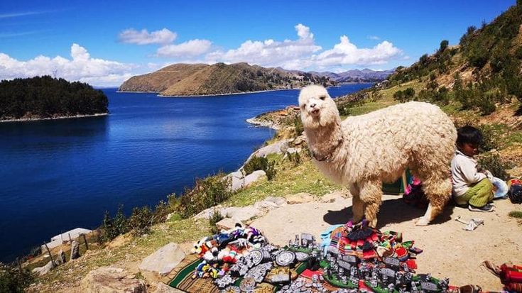 Lago Titicaca, l’esperienza unica di un "mare” a quattromila metri