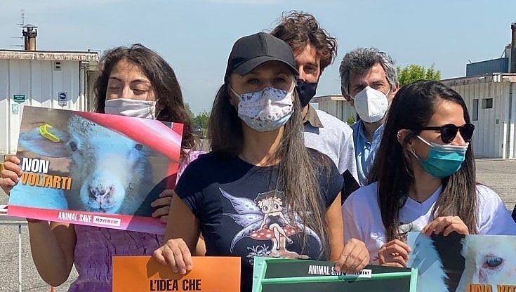 Rosita Celentano e l'impegno per gli animali: "Basta sfruttarli così, se non rispettiamo la natura ci estingueremo come i dinosauri"