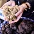 I sapori dell’autunno, dal tartufo del Pollino a quello delle Marche