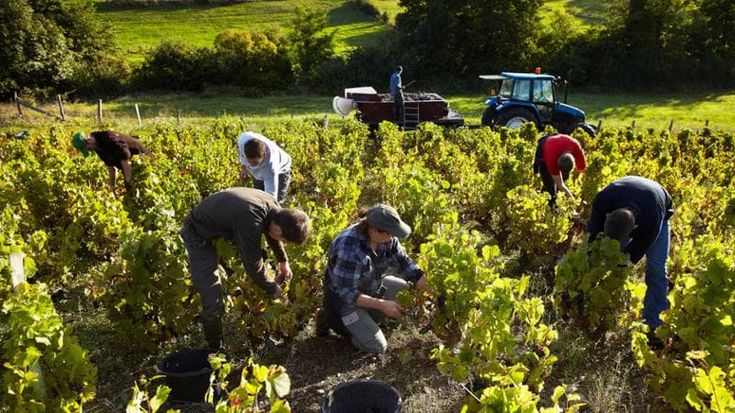 Incentivi e finanza per l’economia sociale. L’Italia si dà un Piano