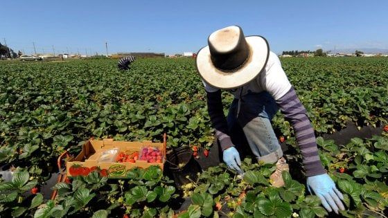 I rendimenti dei green bond battono quelli delle obbligazioni tradizonali 