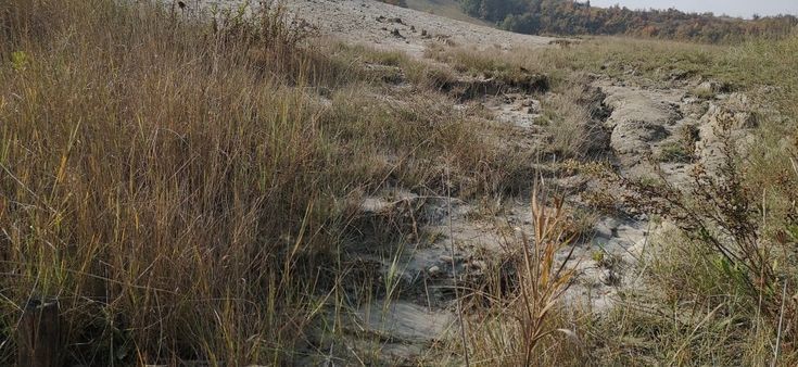 La via dei vulcani di fango e il cammino di santa Giulia: il mare dentro