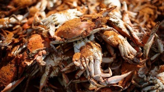 Roma a tavola: pesce senza fronzoli tra crudi e grandi vini