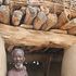 I Dogon, custodi delle stelle