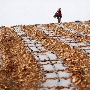 La richiesta di prodotti agricoli salir&agrave; del 60% entro il 2050