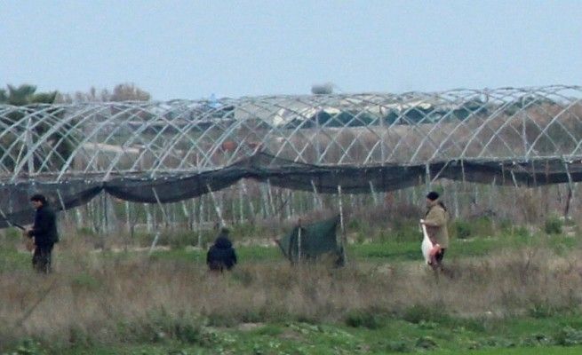 Quel fenicottero impallinato,<br />il bottino dei bracconieri