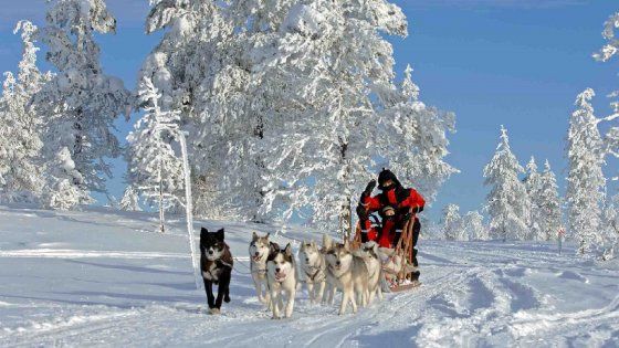 Finlandia, amore per la natura