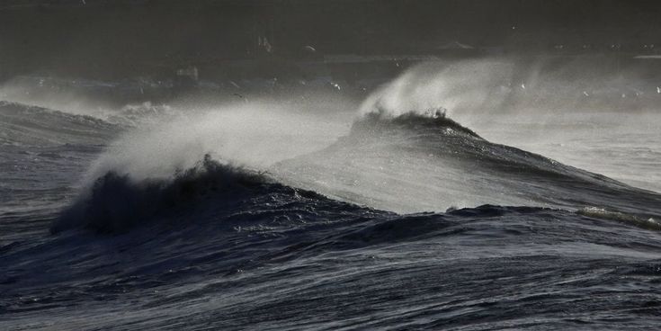 Mareggiata sulla Liguria, lo spettacolo delle onde